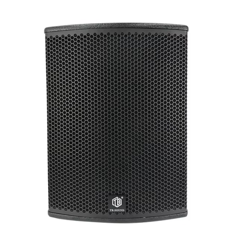 Audio Music Box - Caixa de Som Profissional de 10